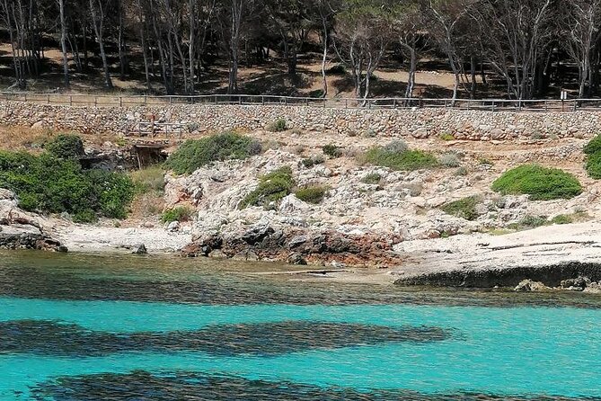 Egadi Islands Boat Tour: Favignana and Levanzo with Lunch - What the price includes at $78.44