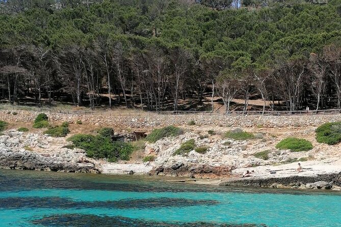 Egadi Islands Boat Tour: Favignana and Levanzo with Lunch - Favignana’s coves, cliffs, and first swim