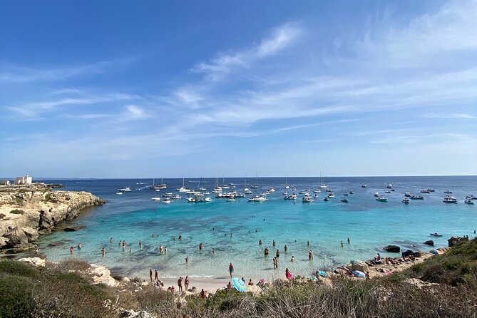 Egadi Shuttle Tour to Favignana and Levanzo from Trapani - Communication onboard and the English question