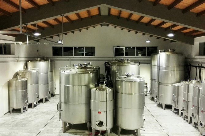 Embark on a Sicilian Wine Journey - A small winery visit near Alcamo