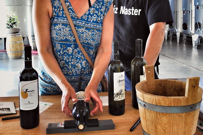 Embark on a Sicilian Wine Journey - What the winery tour actually includes