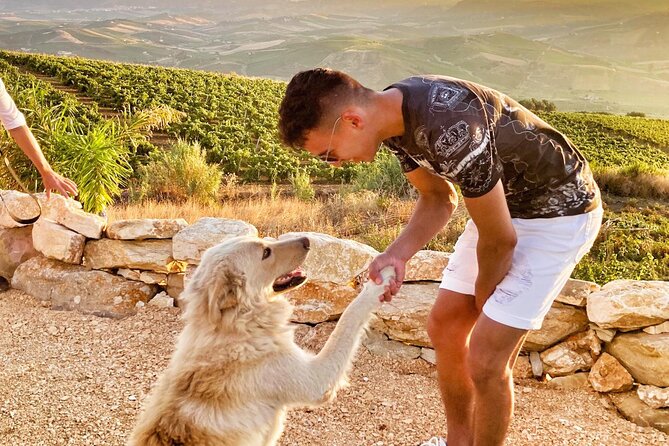 Embark on a Sicilian Wine Journey - Who will get the most from Quattrocieli
