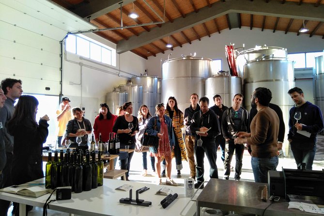 Embark on a Sicilian Wine Journey - How to prepare for the 4:30 pm appointment