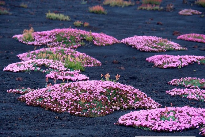 Etna 3000 from the south with Cable Car and trekking – Morning or Afternoon - What to wear and carry for loose volcanic ground