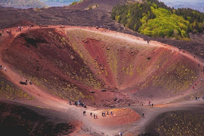 Etna Adventure Half Day From Catania - Is the private format worth $390.55 per person?