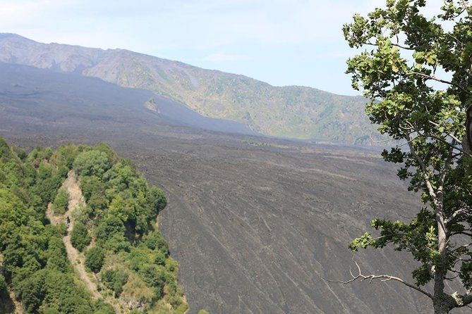 Etna & Alcantara Tour Experience - What the $191.58 price really covers