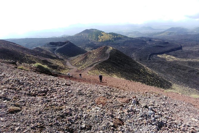 Etna and Taormina Tour from Messina - Guides make the long drives worthwhile