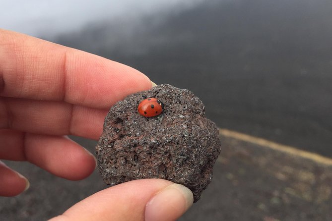 Etna and Wines Tour - Lava caves and the signs of Etna’s power