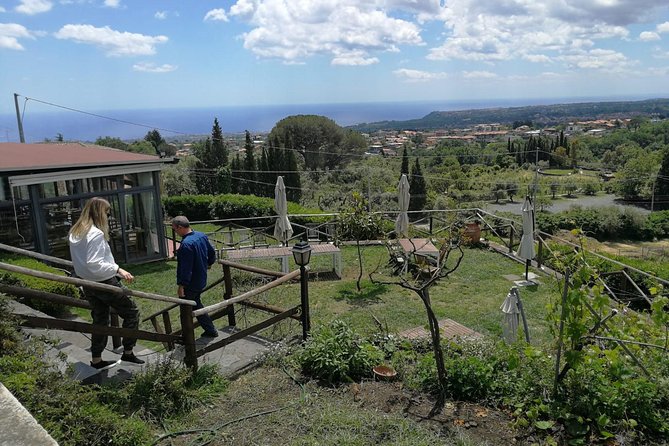 Etna and Wines Tour - Tenuta San Michele and the Etna wine tasting