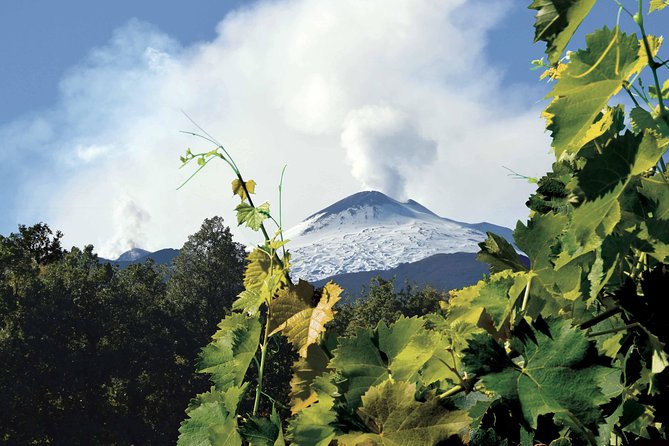 Etna and Wines Tour - Walking the Silvestri craters