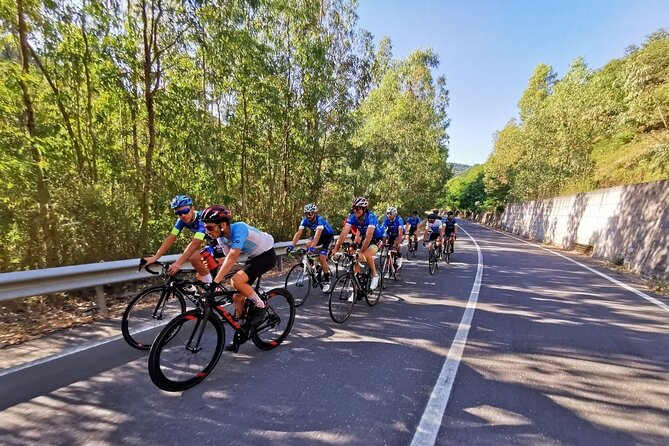 Etna Bike Tour - Cycling in Sicily - The downhill back to Giardini Naxos