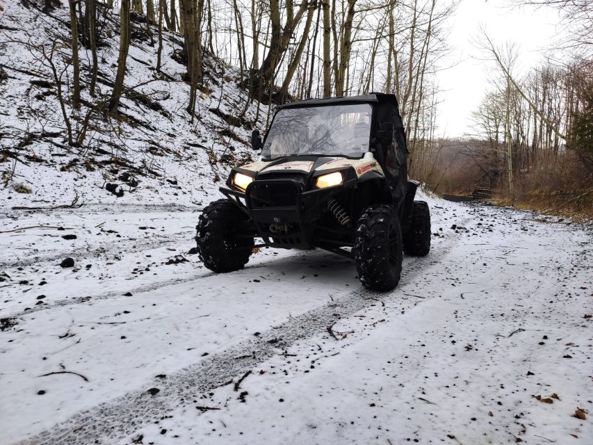 Etna Buggy 4x4 Tour - What the $339.86 price really buys
