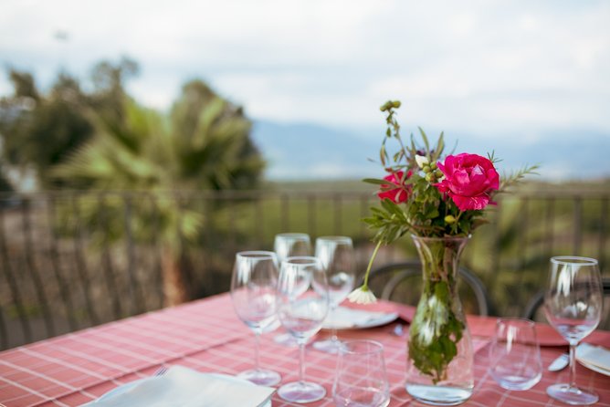 Etna Countryside Food & Wine Lovers Tour (Small Group or Private) - Who will enjoy this Etna food tour most
