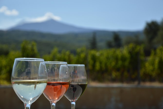 Etna DOC & Organic Wine tasting and tour of the 1815 historic winery - Why this Etna winery visit feels different