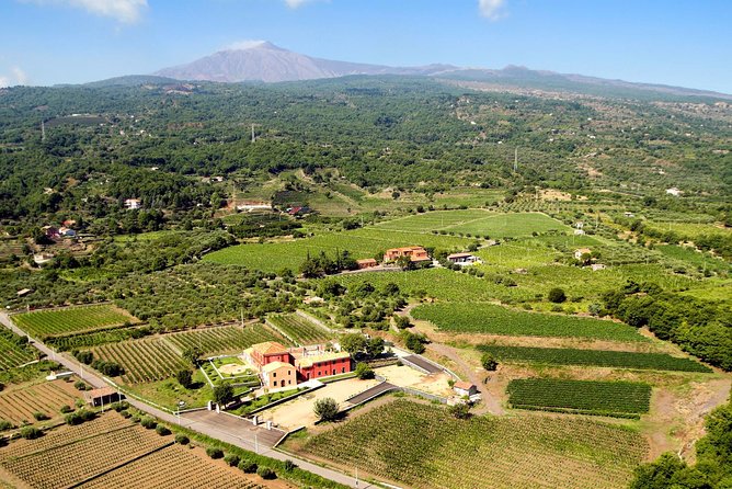 Etna DOC & Organic Wine tasting and tour of the 1815 historic winery - The underground cellar and the final stages