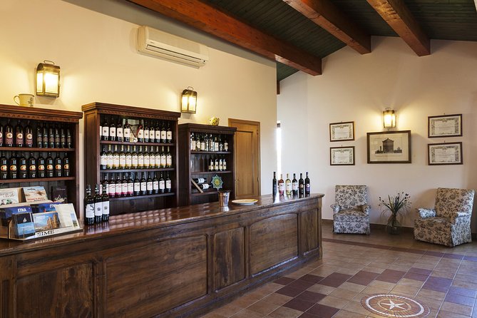 Etna DOC & Organic Wine tasting and tour of the 1815 historic winery - Four organic Etna DOC wines at the table