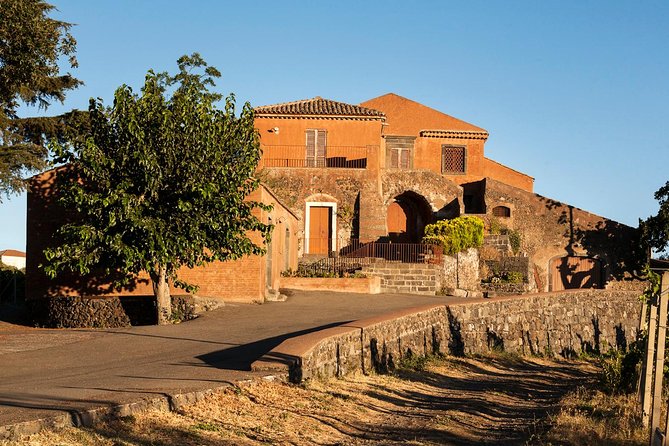 Etna DOC & Organic Wine tasting and tour of the 1815 historic winery - The food makes this more than a quick tasting