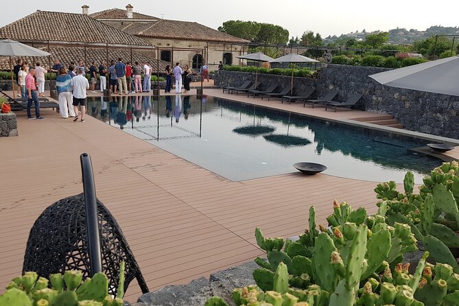 Etna Easy & Winery from Messina, Catania or Taormina/G. Naxos - Who will enjoy this private Etna outing?