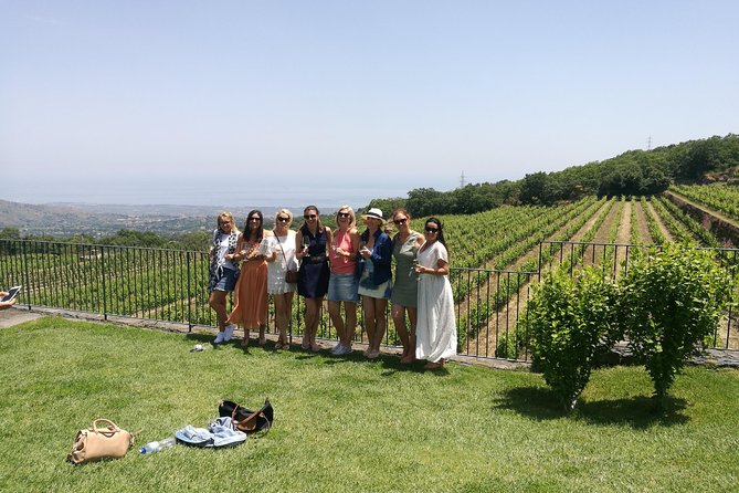 Etna Excursion and Lunch - Wine Tasting in Etna DOC Vinery - From Catania to the upper slopes of Etna