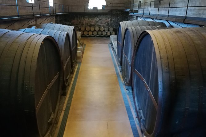 Etna Excursion and Lunch - Wine Tasting in Etna DOC Vinery - A Sicilian meal at an Etna DOC winery