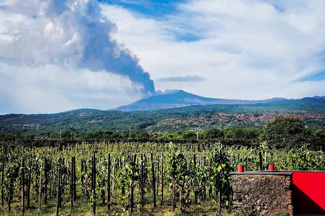 Etna excursion and wine tasting with Sicilian lunch - The multilingual winery visit and what to expect