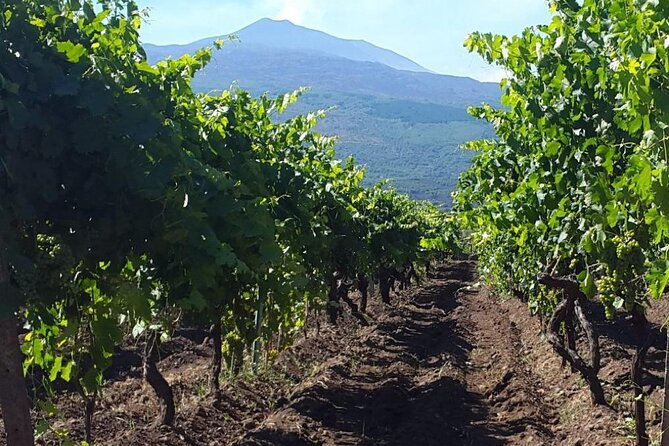 Etna excursion and wine tasting with Sicilian lunch - Guides, vehicles, and group size