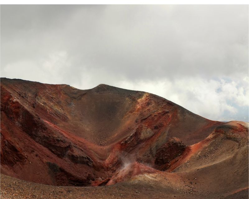 Etna excursion from Catania - Volcanic scenery, plants, and mountain air