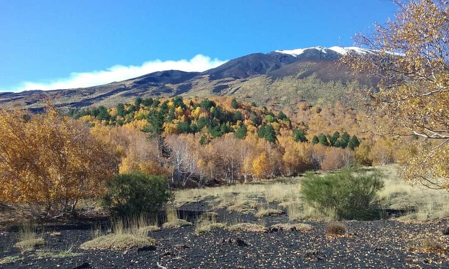 Etna excursion from Taormina and surroundings - What the $93 price really covers