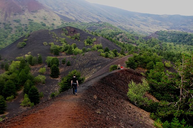 Etna excursion - Monti Sartorius and the 1865 craters