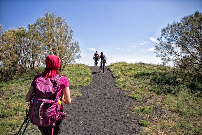 Etna Family Tour Excursion for families with children on Etna - Key points to know before you book