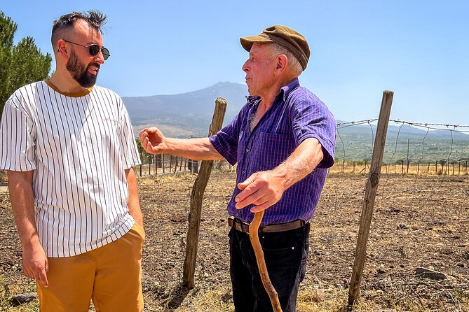 Etna Food and Wine Tour from Taormina - Key points at a glance