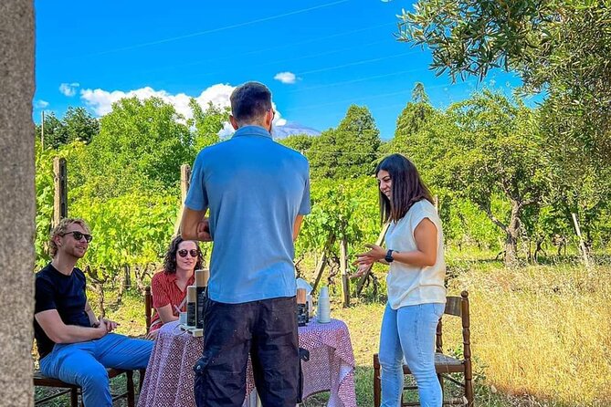 Etna Food and Wine Tour from Taormina - Linguaglossa and the first taste of Etna olive oil