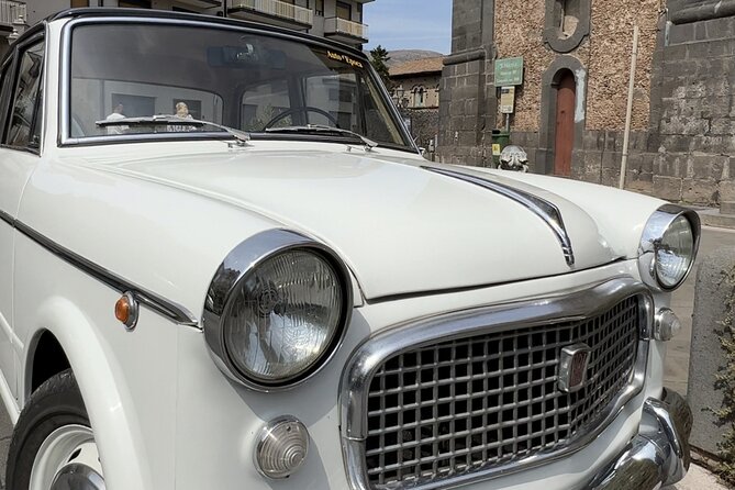 Etna Food and Wine Tour from Taormina - Hazelnuts among centuries-old trees