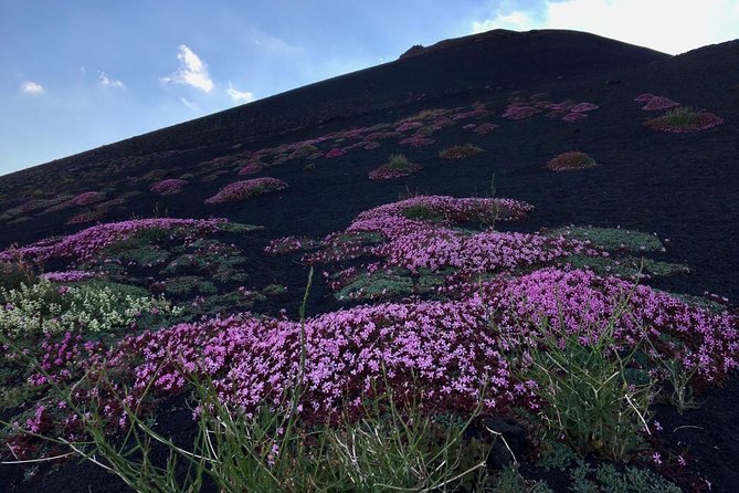 Etna Grantour - 4x4 & trekking - Private tour with lunch included - The 4x4 route across Etna’s rougher ground