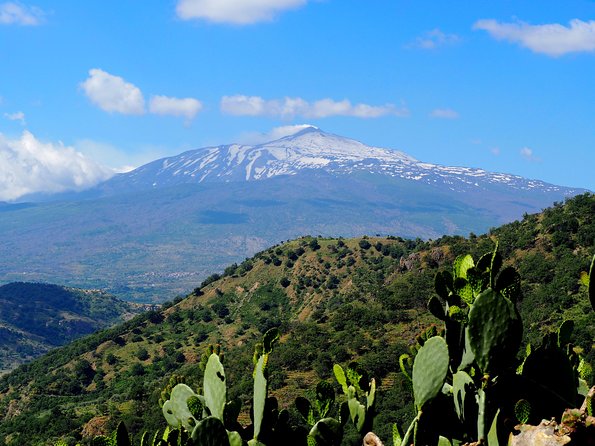 Etna Grantour - 4x4 & trekking - Private tour with lunch included - Silvestri craters and the 1892 eruption