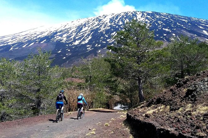 Etna in MTB Half day small group - Guide quality and the value of local explanation