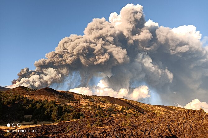 Etna Morning From Catania - Etna honey, oil, wine, and a simple picnic