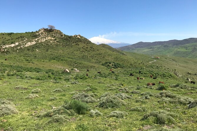 Etna Morning Jeep Tour - The tasting that connects Etna to Sicily