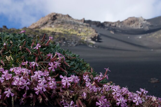 Etna Morning or Sunset - Trek & Lava Tunnel with Gear - Key points at a glance
