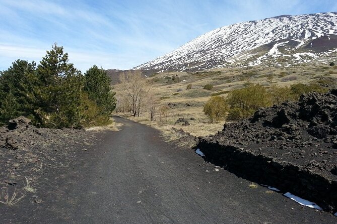 Etna Morning - Pickup Time 08:30 from your Hotel - Is $81.80 a fair price?