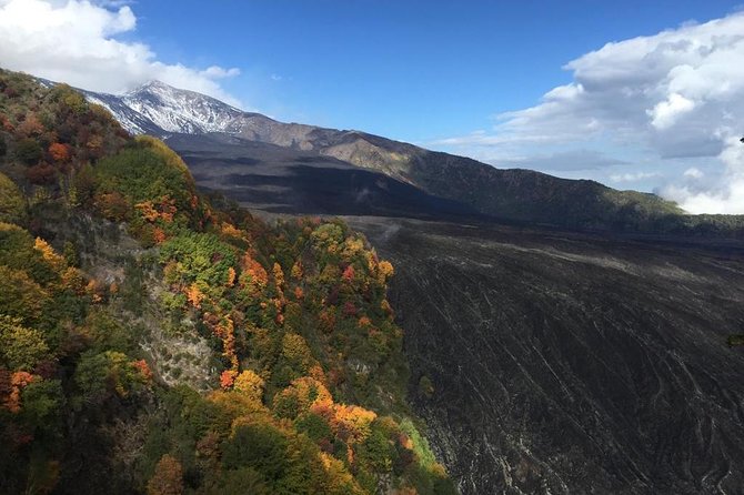 Etna Morning Tour 2000 mt. - The 1991 to 1993 lava flow