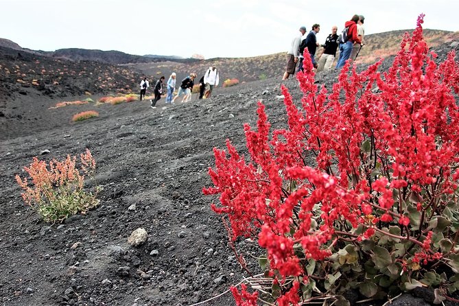 Etna Morning Trip - The ride from Catania to Etna Est