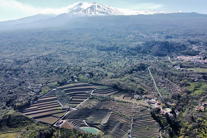 Etna panoramic private tour and Wine taste and food combination - Key points at a glance