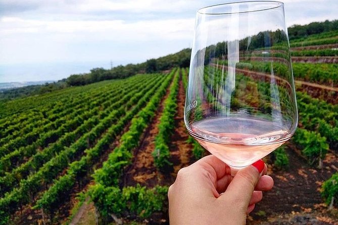 Etna panoramic private tour and Wine taste and food combination - Zafferana Etnea gives the morning a local beginning