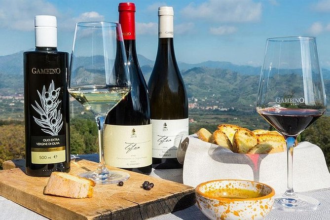 Etna panoramic private tour and Wine taste and food combination - The winery brings together Etna wine, lunch, and scenery