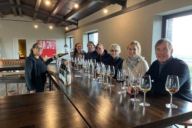 Etna panoramic private tour and Wine taste and food combination - The $390.48 price makes sense for some groups
