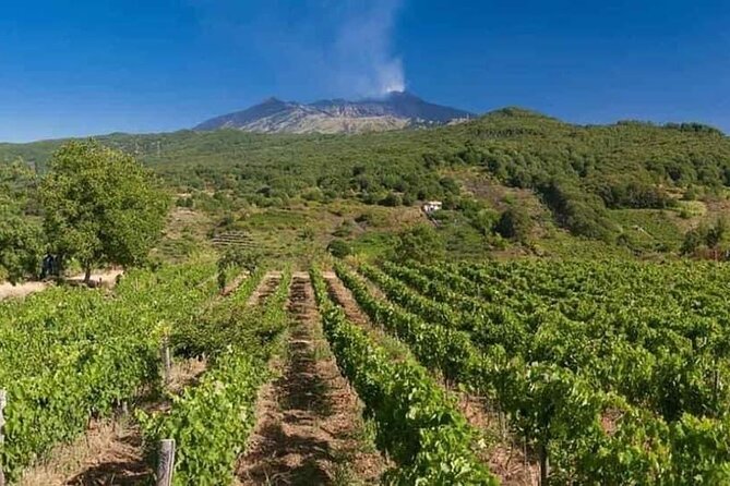 Etna panoramic private tour and Wine taste and food combination - The Silvestri craters are the day’s visual high point