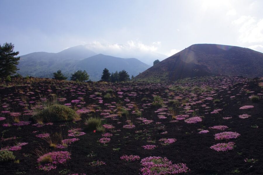 Etna Private Sunset Tour with Prosecco - Prosecco at the Crater