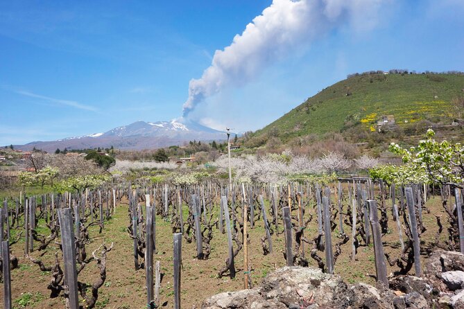 Etna Private tour from Messina Cruise Terminal + Lunch at Winery - Who will enjoy this Etna day?