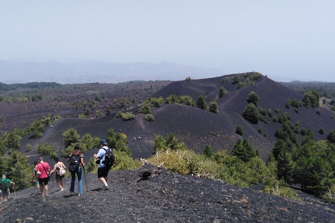 Etna private tour with wine cellar gambino lunch and wine tasting - Monte Vetore and the bronze Tifeo statue